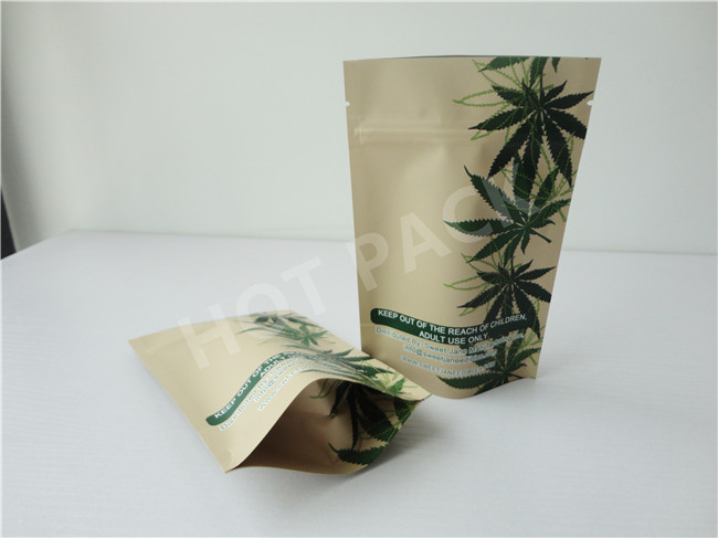 Kraft Paper White Color Gravure Printed Stand Up Pouches For Snack Packaging